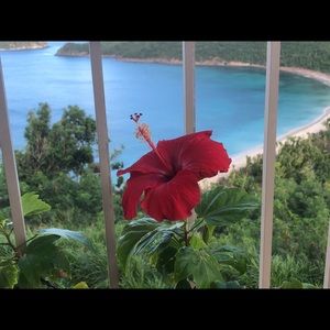 Meet your Posher, Keleigh